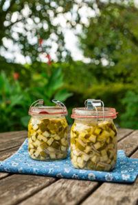 Zucchinischwemme, Verwertung, einkochen, Einmachglas Zucchinischwemme, Verwertung, einkochen, Einmachglas